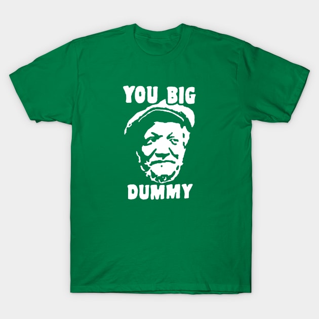 You Big Dummy T-Shirt by rikpark11